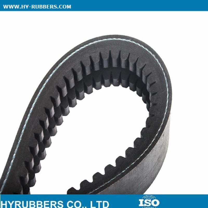 AutoVBelt855