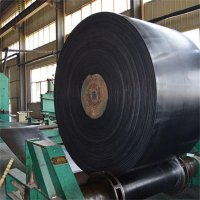 CC-NN-EP100-CONVEYOR-BELT574