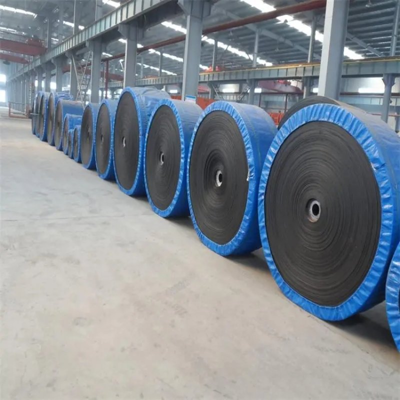 EP100-CONVEYOR-BELT259