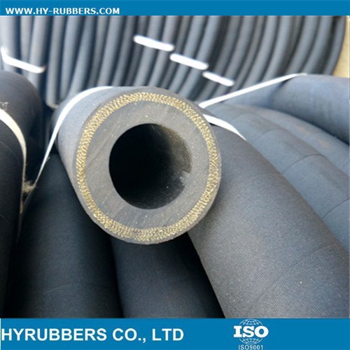 Steam Hose With Fabric Insert