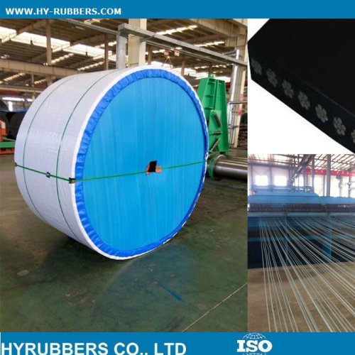 Cold resistance steel cord conveyor belt exported to Russia