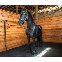 small squared flooring for horse stalls mat