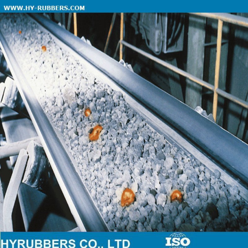 heatresistantconveyorbeltR1587