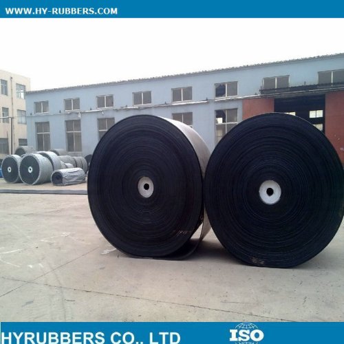 Oil resistant conveyor belt 