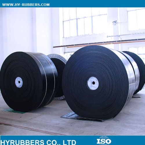 Tear and abrasion resistant wire rope conveyor belt 
