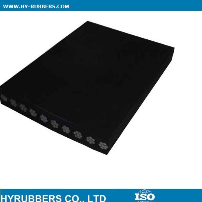wire-rope-conveyor-belt-manufacturer879
